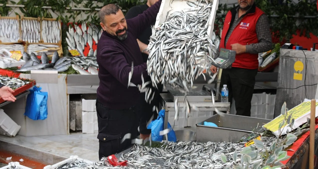 Hamsinin Fiyatı 400’den 50’ye Düştü!