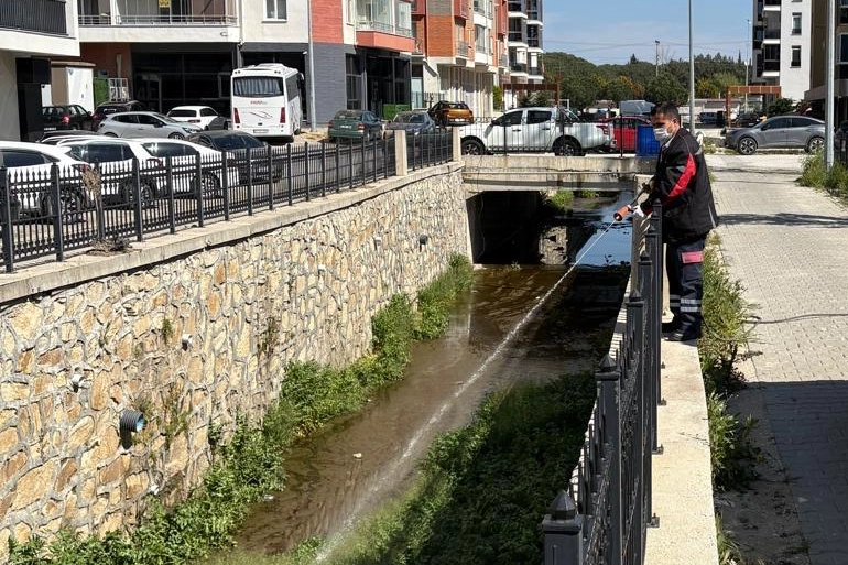 Haşereyle Mücadelede Larvasit Uygulamaları Devam Ediyor