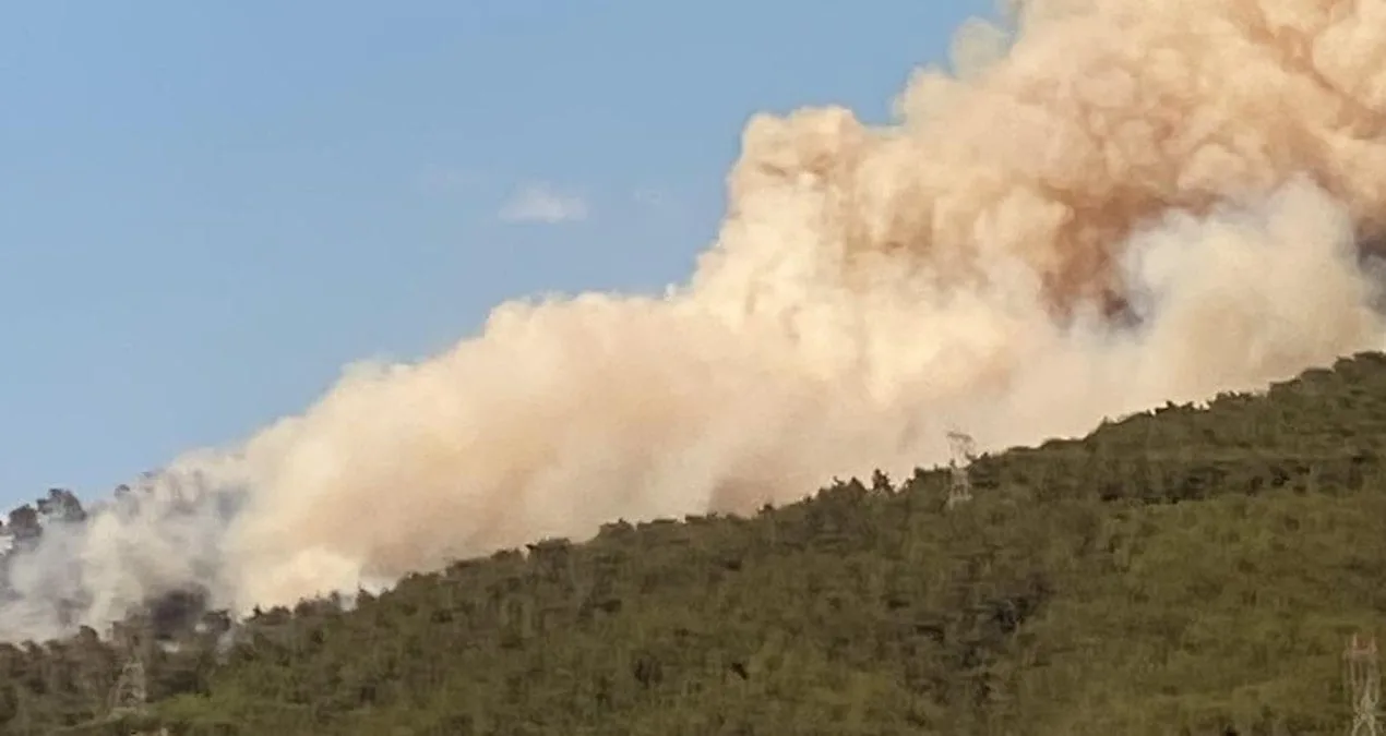 Hatay’da Orman Yangını: Şiddetli Rüzgar Etkili!