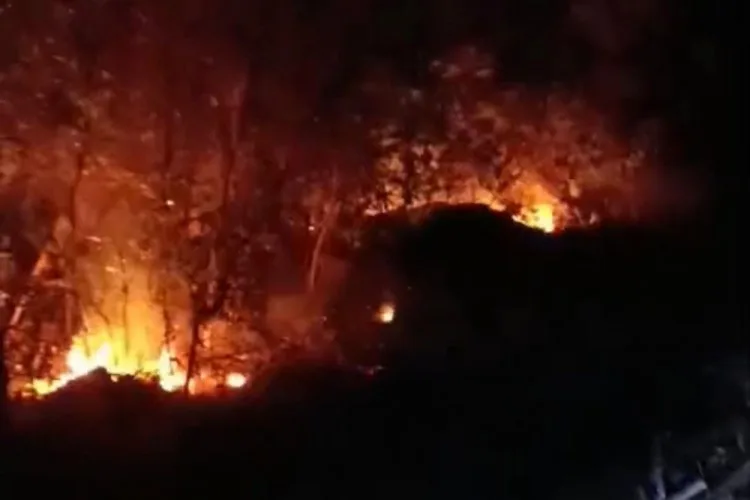 Hatay’da Yıldırım Kaynaklı Orman Yangınları Kontrol Altında