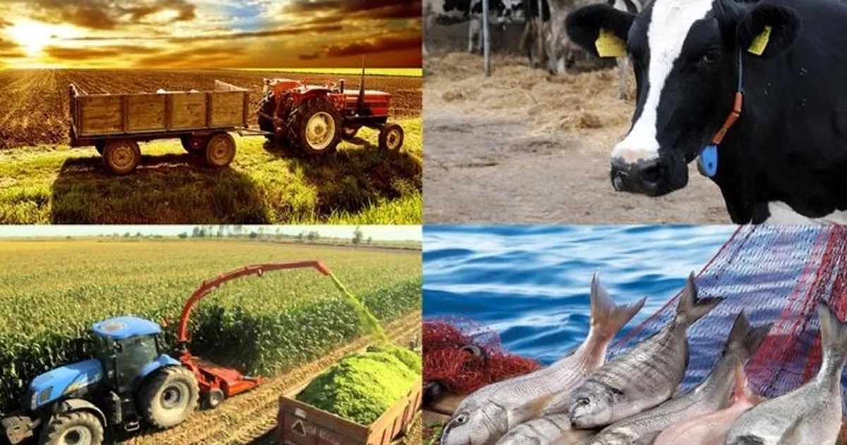 Hayvancılık Desteğine Büyük Artış Yapıldı!