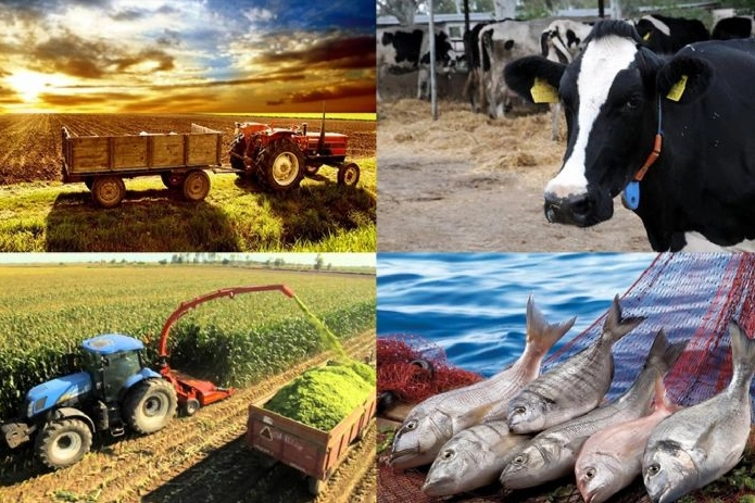 Hayvancılık Destekleri Yüzde 180 Artıyor!