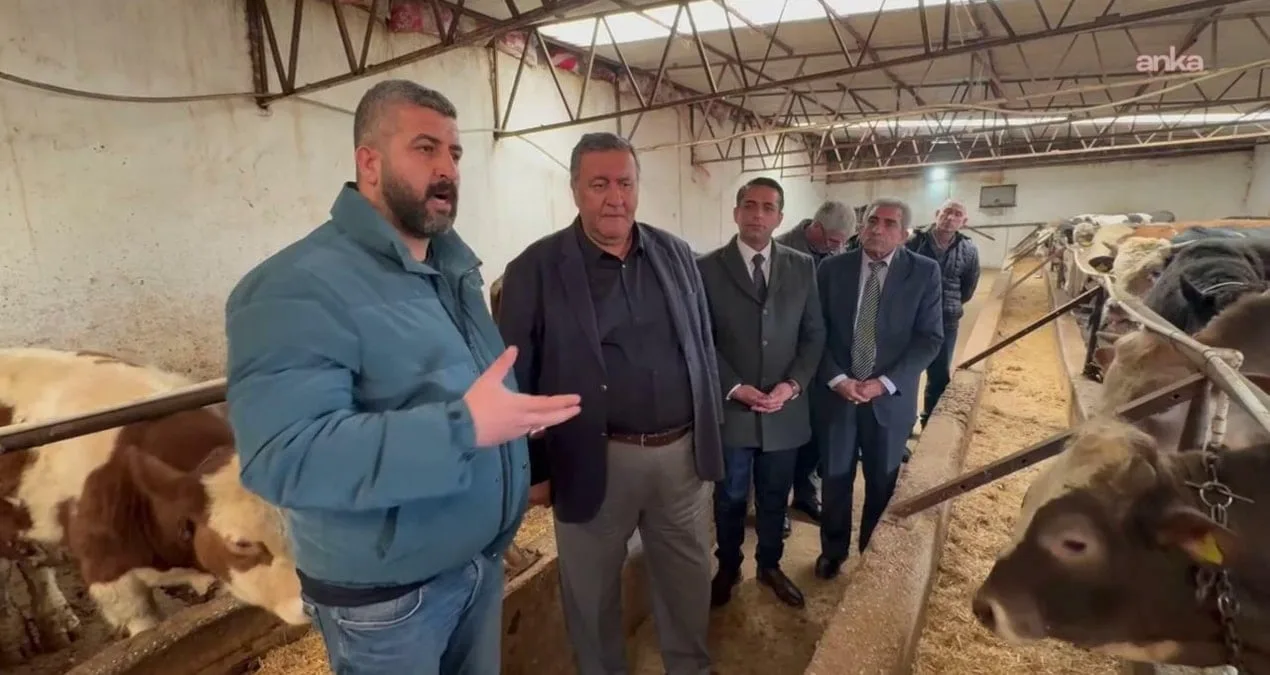 Hayvancılık Krizi: Üretici Zor Günler Geçiriyor!