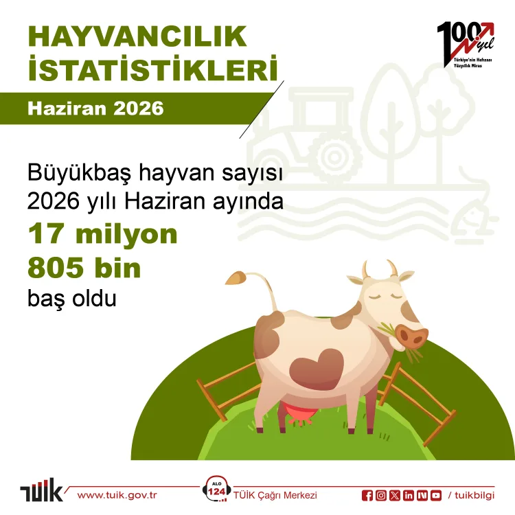 Hayvancılıkta Artış: Küçükbaşta %6’lık Zenginlik!