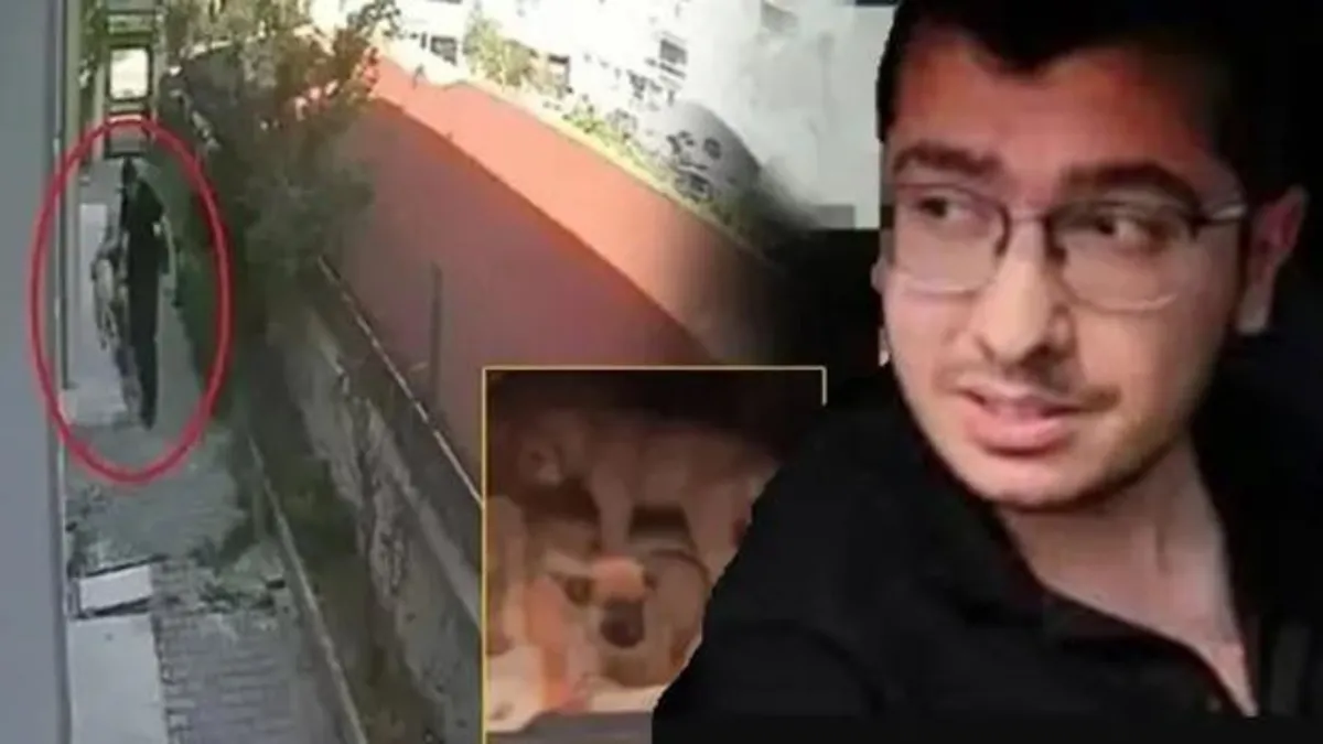 Hayvanlara Cinsel İstismar: Doktora 9 Yıl Hapis