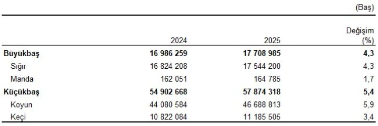 Hayvansal Üretimde Büyük Artış: 2025 Verileri Açıklandı!