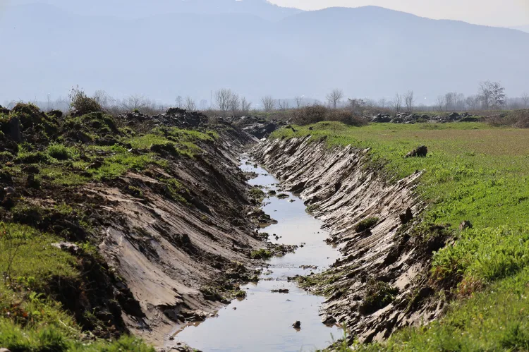 Drenaj Çalışmaları