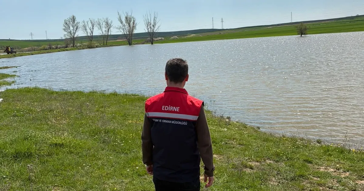 İç Sularda Av Yasağı: 3 Ay Sazan ve Yayın Koruma Altında!