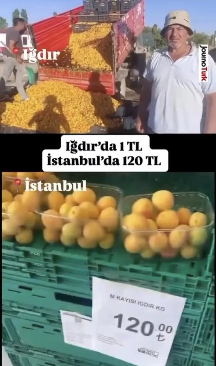 Iğdır’da Kayısı İfadesine 1,4 Milyon TL Ceza!