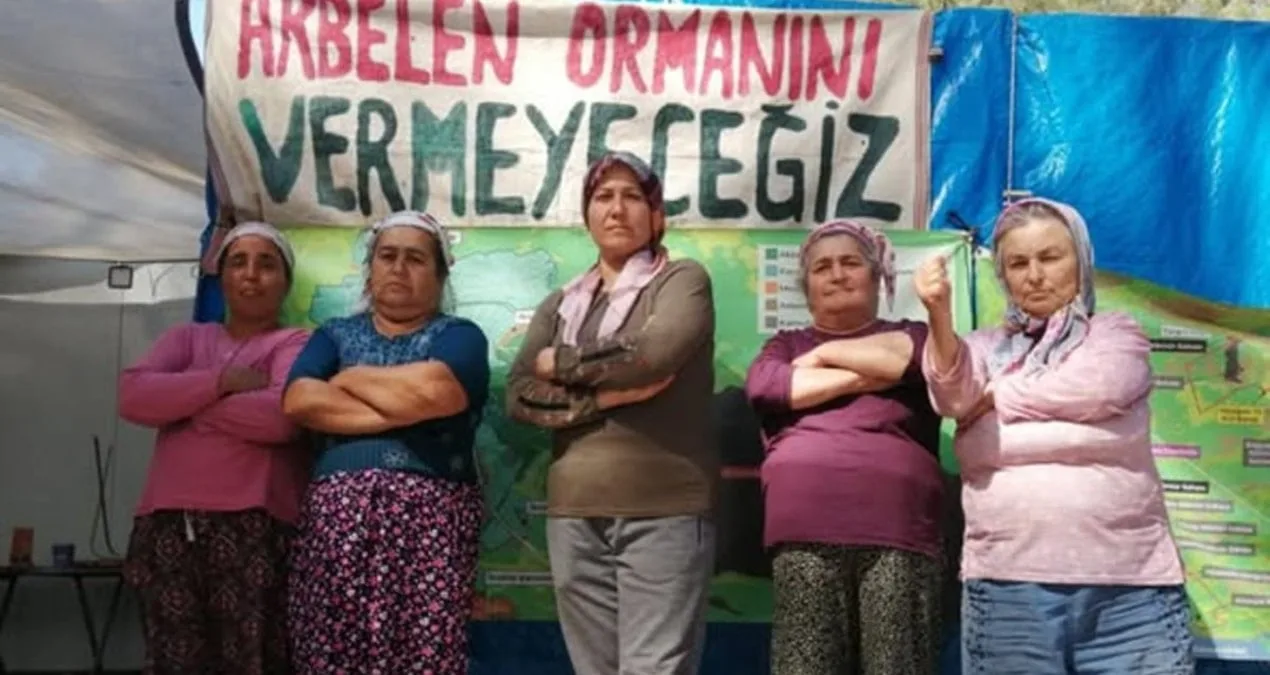 İkizköy’de Orman Mücadelesi: Muhtar Krizi!