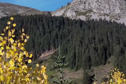 Ilgaz Dağı’nda Sonbahar: Renk Cümbüşü