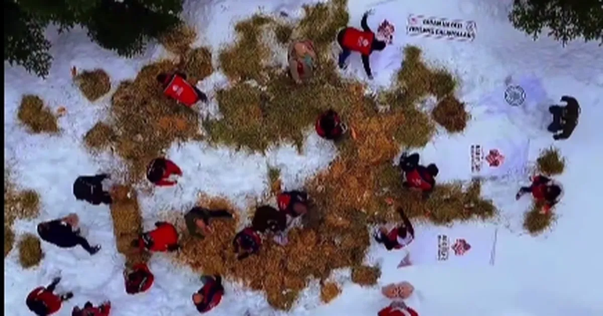 Ilgaz Dağı’nda Yaban Hayvanları İçin Yem Bırakıldı