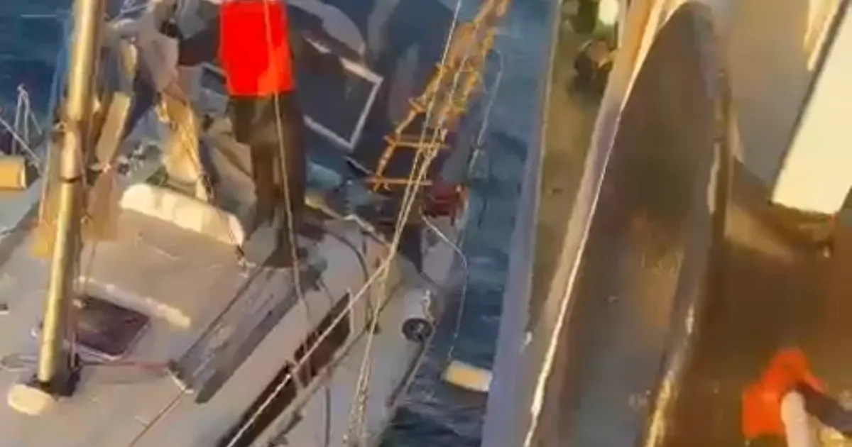 IMO’dan Denizde Cesarete Teşekkür Mektubu