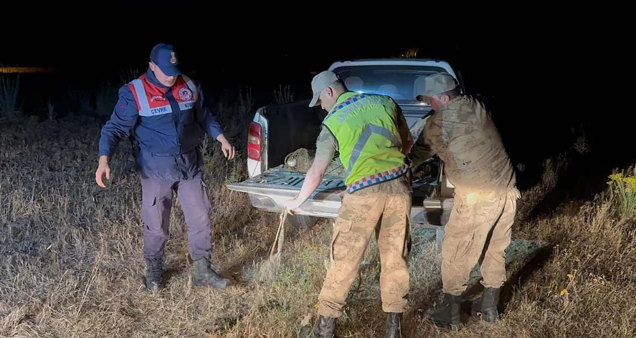İnci Kefali İçin Operasyon: 1,5 Ton Balık Ele Geçirildi