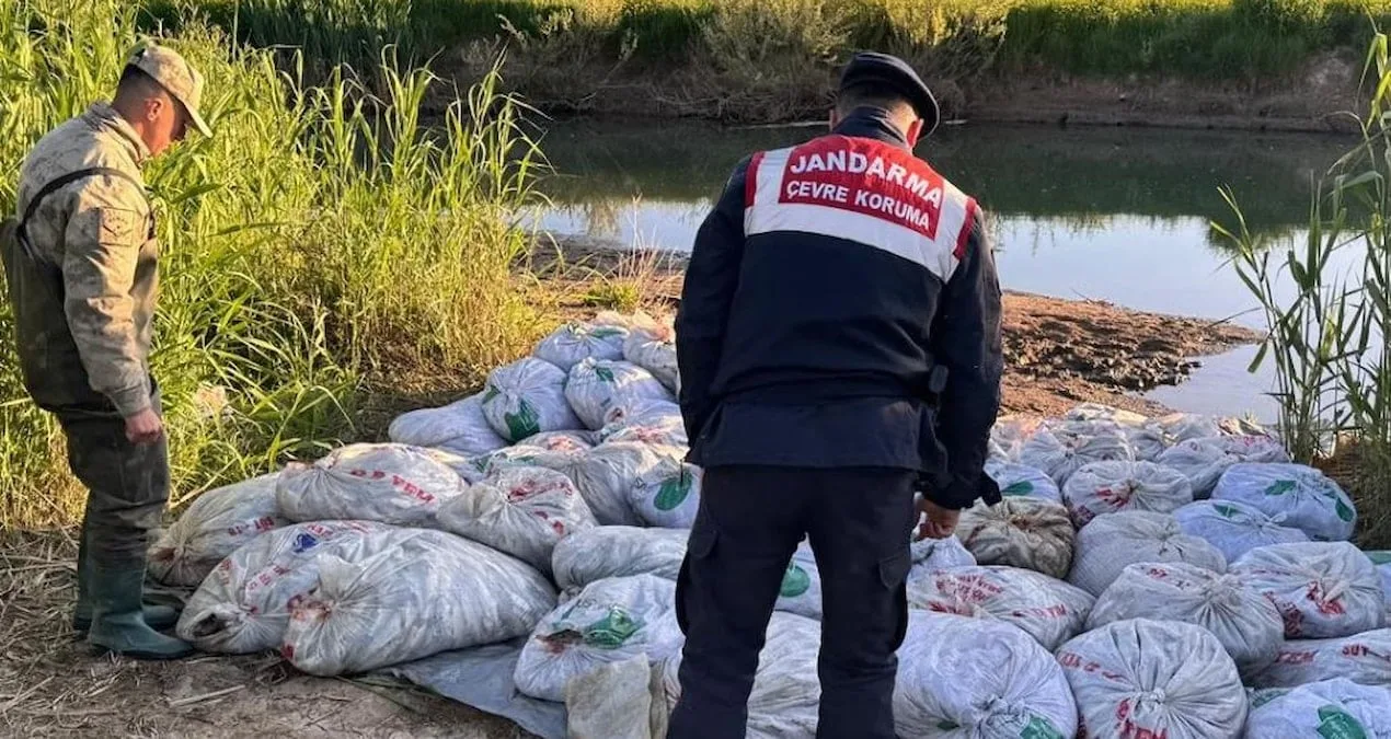İnci Kefalinin Yaralı Dönüşü: 22 Ton Kaçak Av!