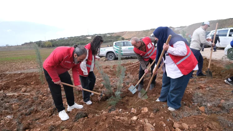 İnegöl’de 11 Kasım’da Binlerce Fidan Toprağa Düştü
