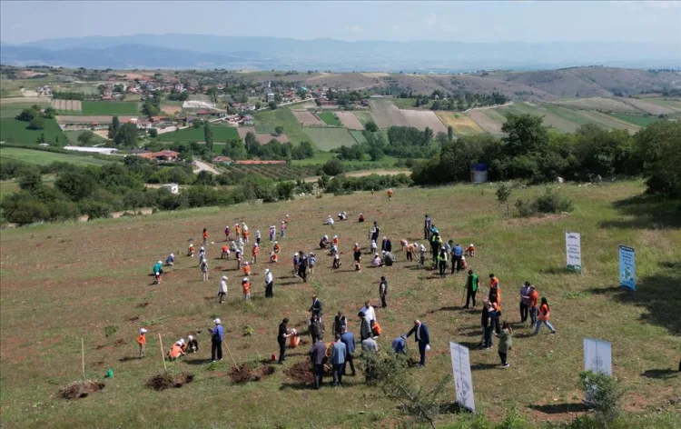 İnegöl’de Çocuklar 150 Fidan Dikti!