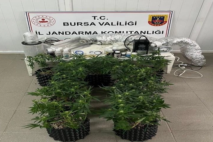 İnegöl’de Jandarmadan Esrar Üretimine Baskın!