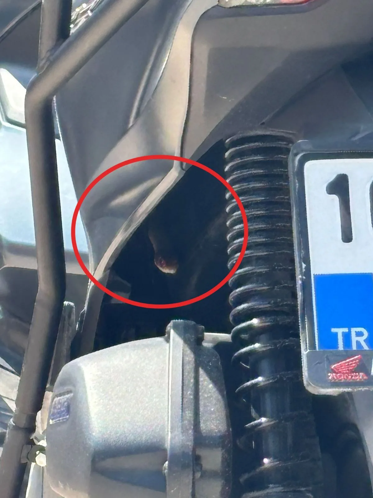 İnegöl’de Motosiklete Saklanan Yılan Korku Dolu Anlar Yaşattı
