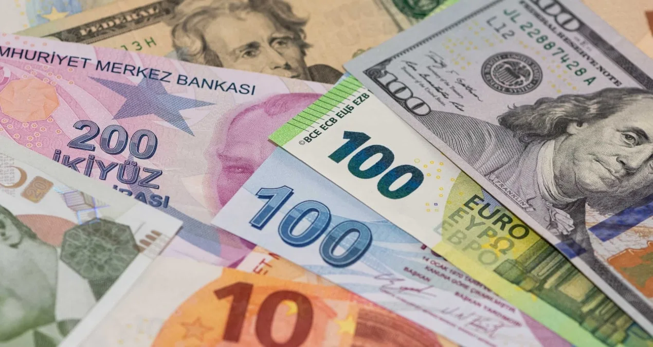 ING: Dolar ve Euro Tahminleri Korkutuyor!
