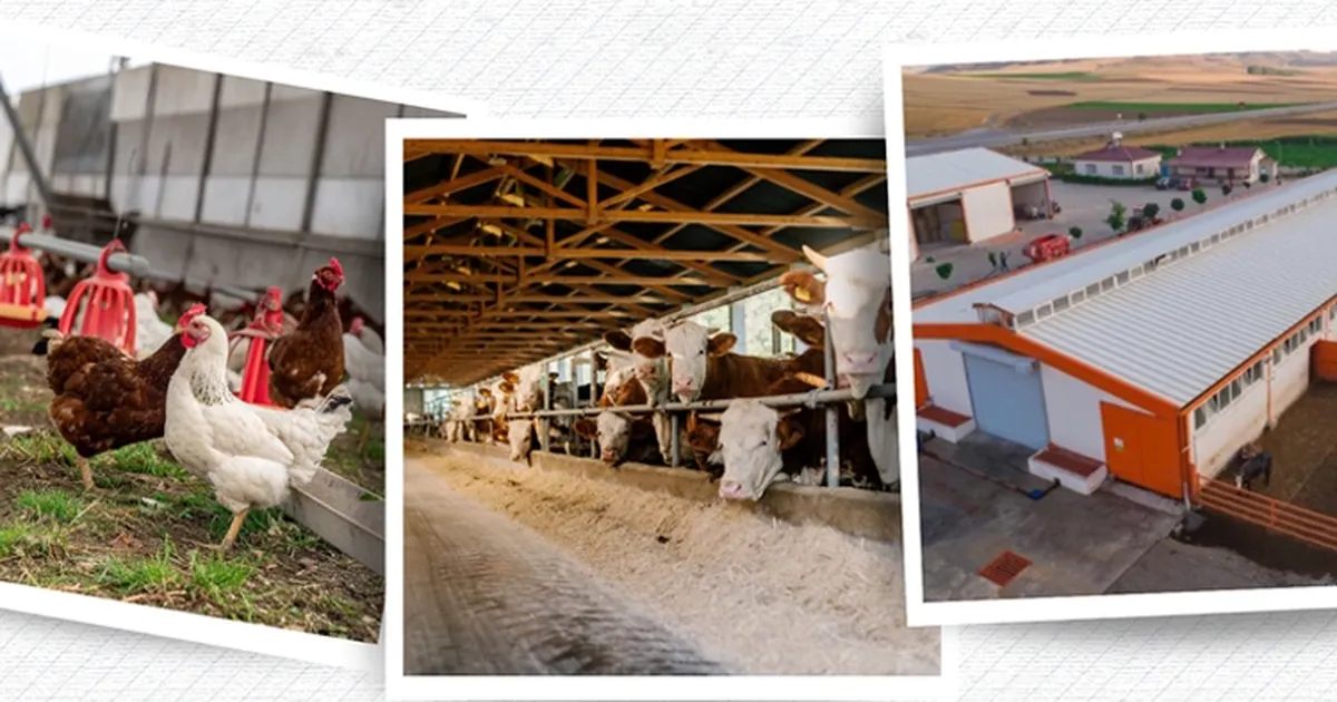 IPARD III’le 218 Projeye 2,5 Milyar TL Hibe!