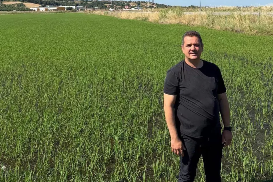 İpsala Çeltik Üreticileri’nden Fiyat Tepkisi!