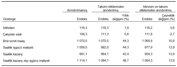 İşgücü Endekslerinde 2025’te Dikkat Çeken Veriler