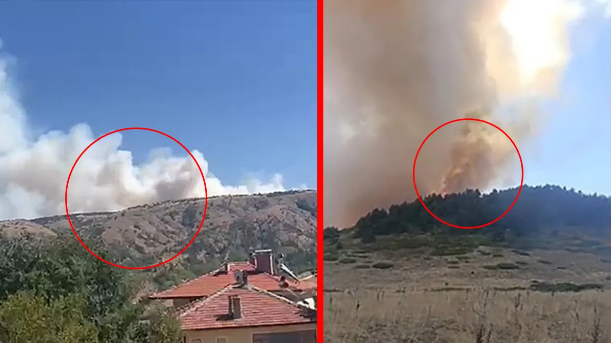 Işık Dağı’ndaki Yangın Kontrol Altına Alındı