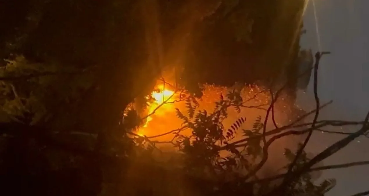 İstanbul Beykoz’da Orman Yangını Korkuttu!