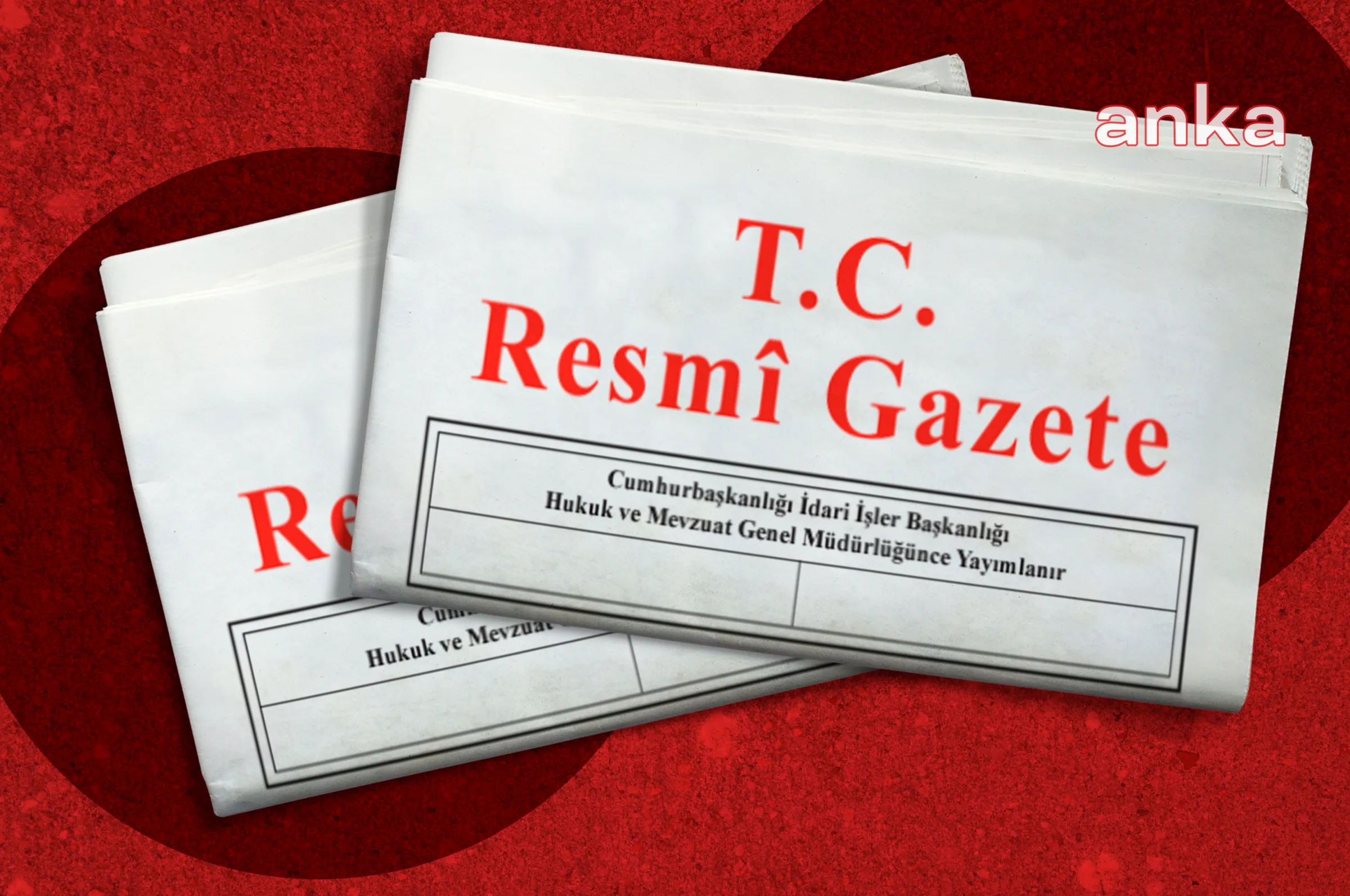 İstanbul Bilgi Üniversitesi’nin Faaliyet İzni Yenilendi!