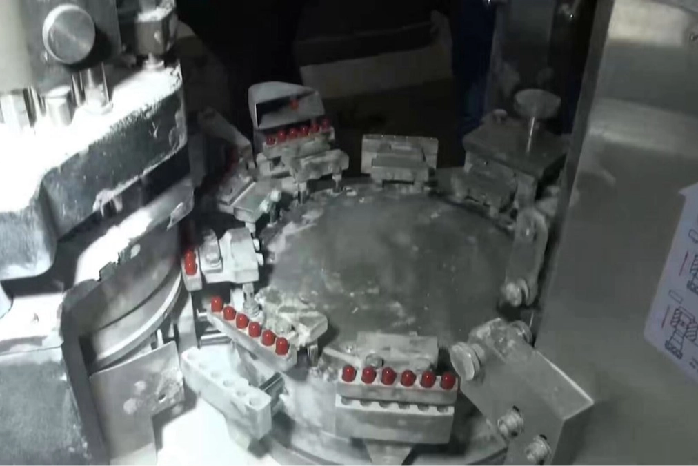 İstanbul’da 15 Ton Bonzai Operasyonu: 16 Tacir Yakalandı!