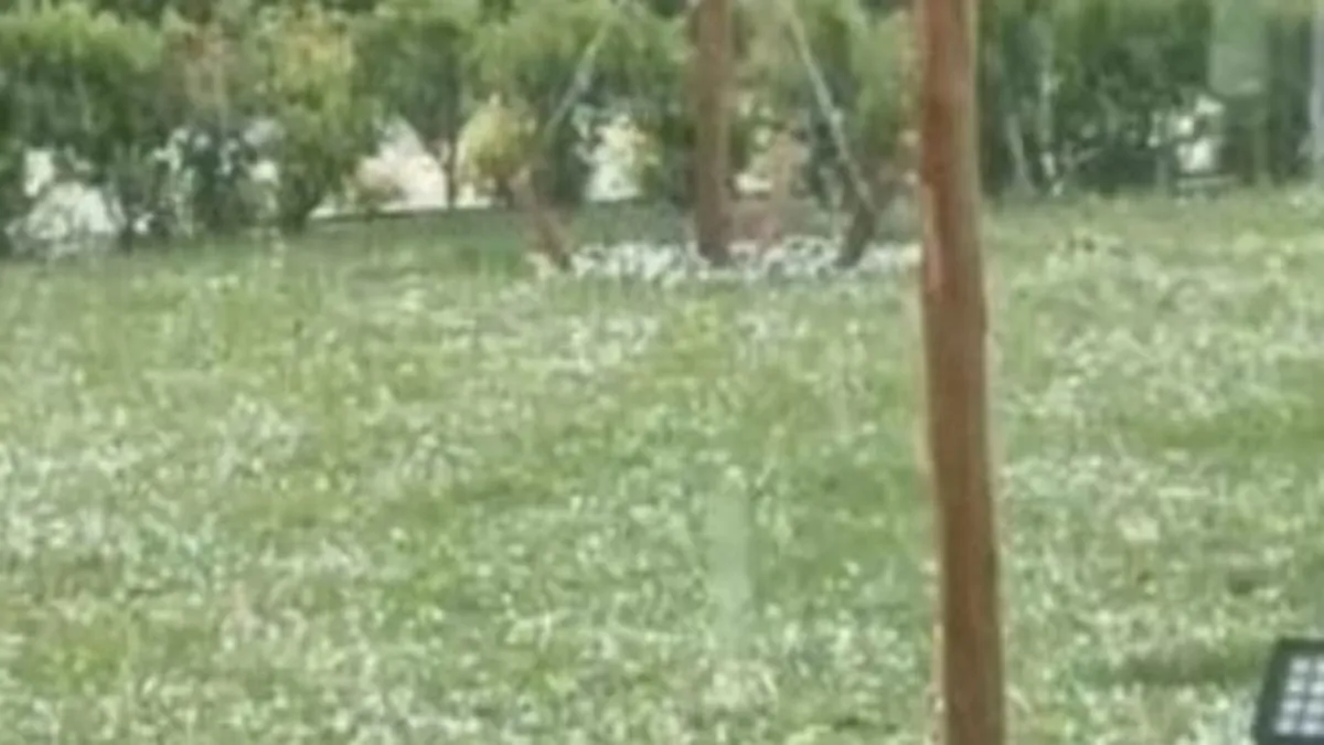 İstanbul’da Dolu Yağışı Araçları Vurdu!