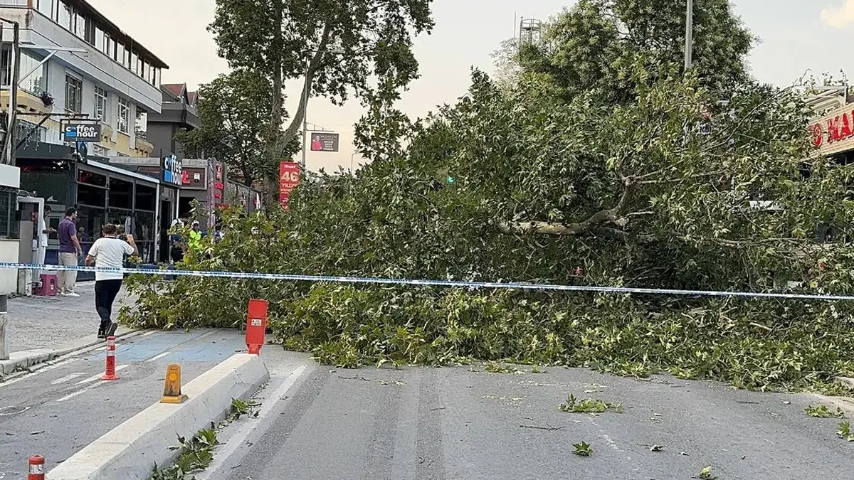 Fırtınaya havada yakalandılar! Uçakta panik anları kamerada 3
