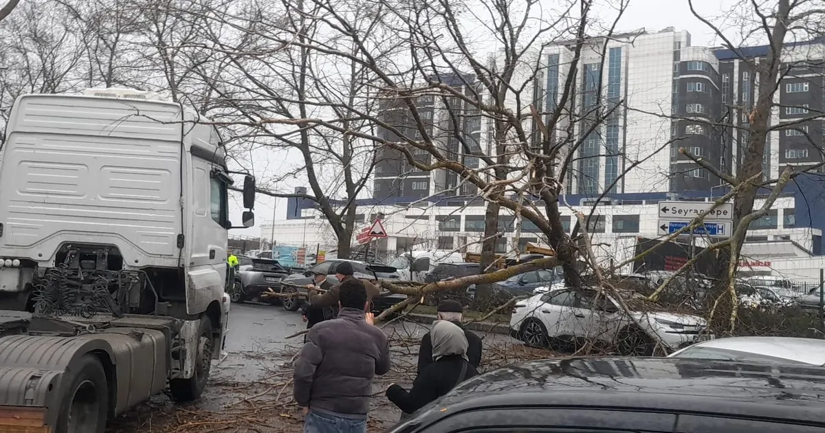 İstanbul’da Fırtına: Ağaçlar Devrildi, Yol Kapandı!