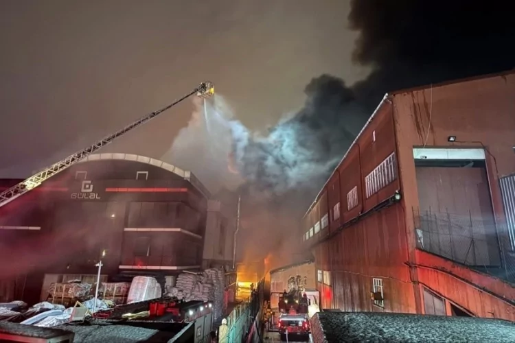 İstanbul’da Kahve Fabrikasında Yangın Paniği!