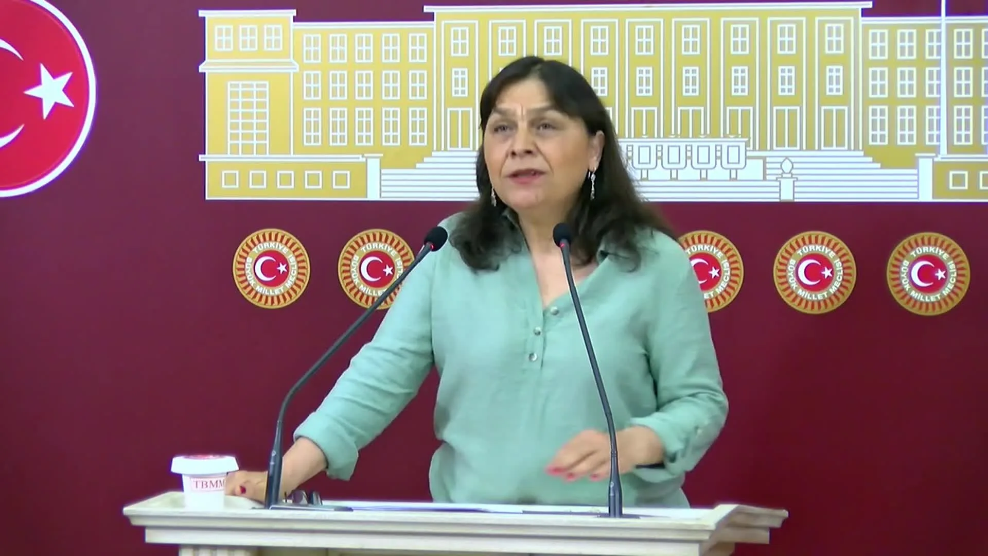 İstanbul’da Su Krizi ve Mega Projelerin Tehdidi!