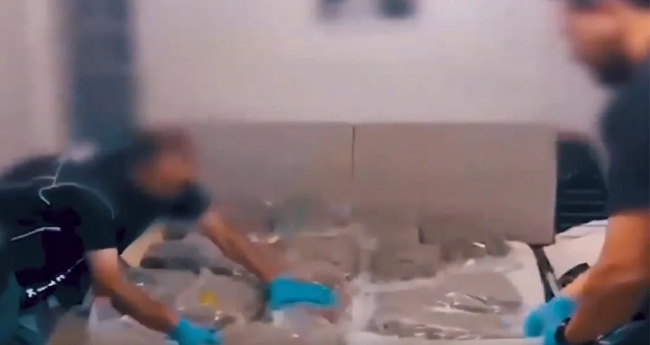 Istanbul’da Uyuşturucu Operasyonu: 75 Kg Skunk Ele Geçirildi