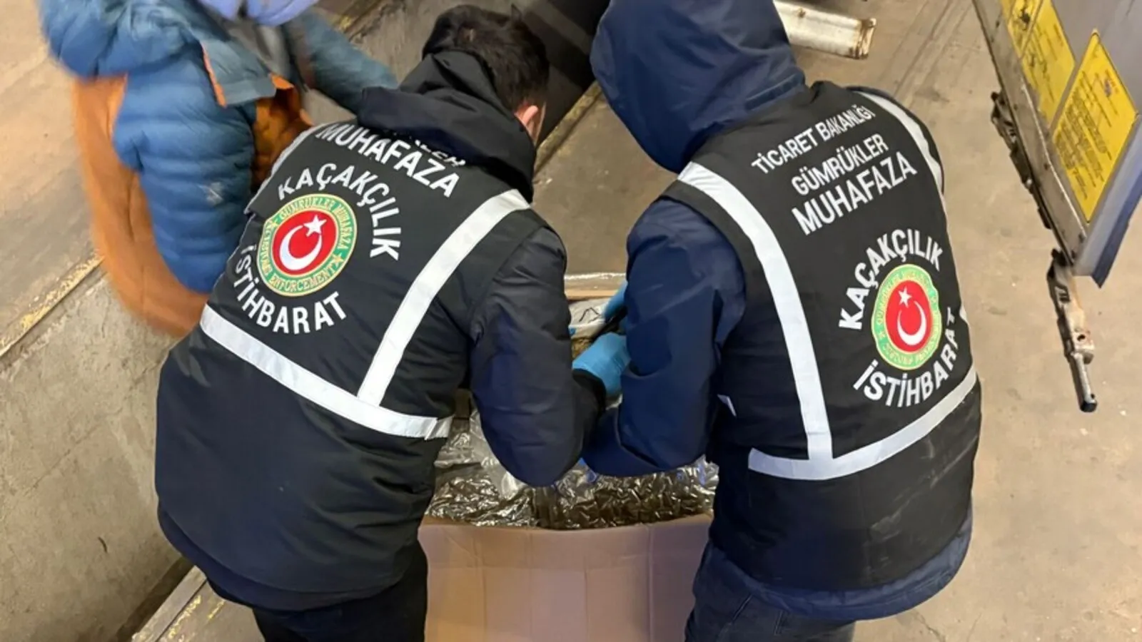 İstanbul Havalimanı’nda 51 Bin Canlı Hayvan Yakalandı