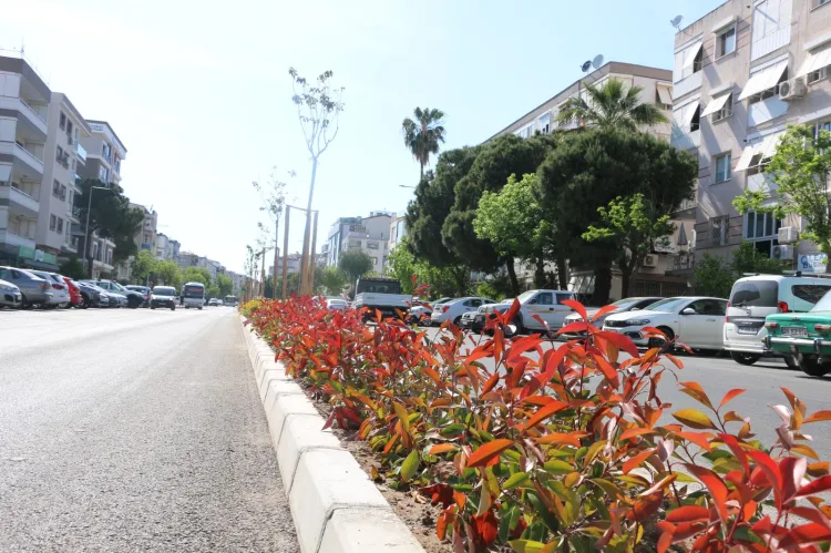 İzmir, 1 Milyon Bitkiyle Rengarenk Oluyor!