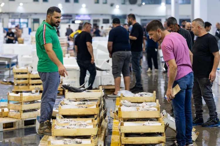 İzmir Balıkçılığı Sezona ‘Vira Bismillah’ Dedi!