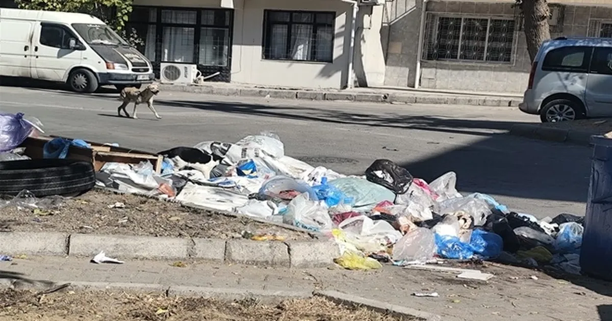 İzmir Buca’da Çöp Krizi: Mahalleler İsyanda!