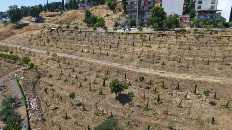 İzmir’de 1.5 Milyon Metrekare Yeşil Alan Oluşturuldu!