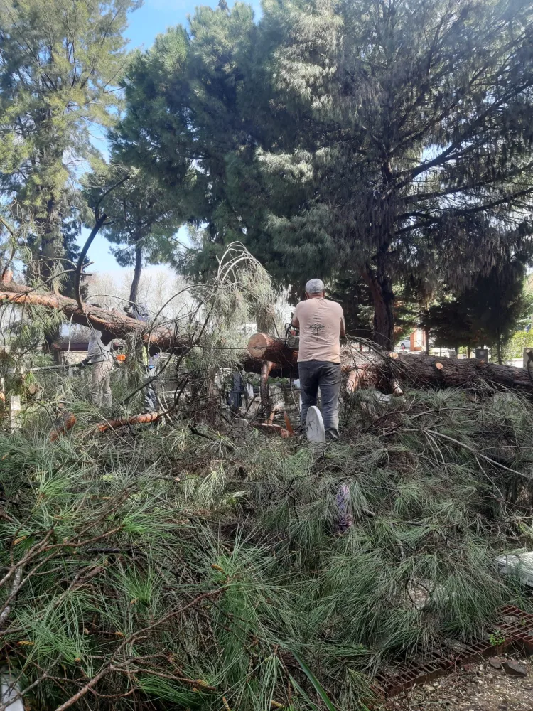 İzmir’de Fırtına Mezarlıklarda Hasar Yarattı!