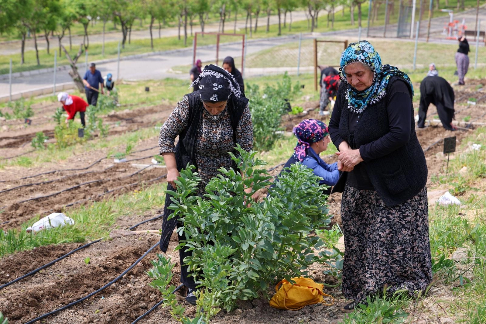 İzmir’de Kadınlar İçin Yeni Mahalle Bostanı Açılıyor!