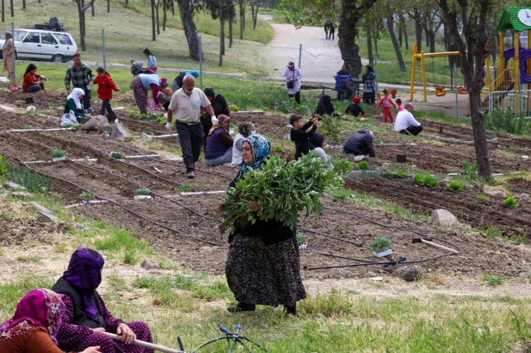 İzmir’de Kadınlar Tarımda Dayanışma İçin Buluşuyor!