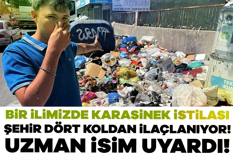 İzmir’de Karasinek İstilası: Sağlık Tehditi!