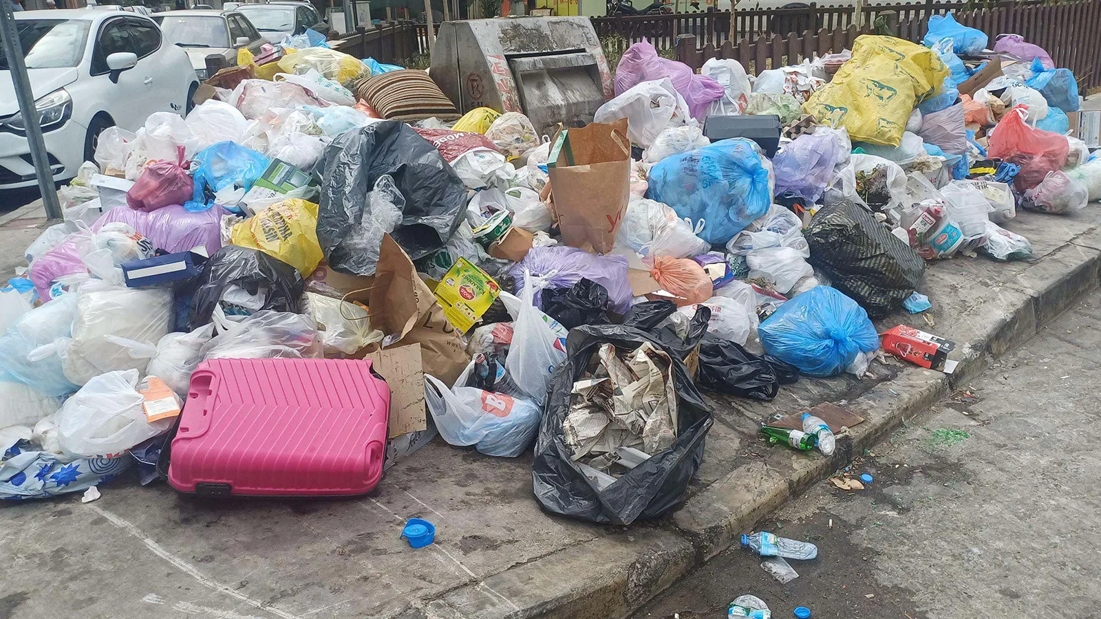 İzmir’de Karasinek Tehdidi: Sıcaklık ve Çöp!