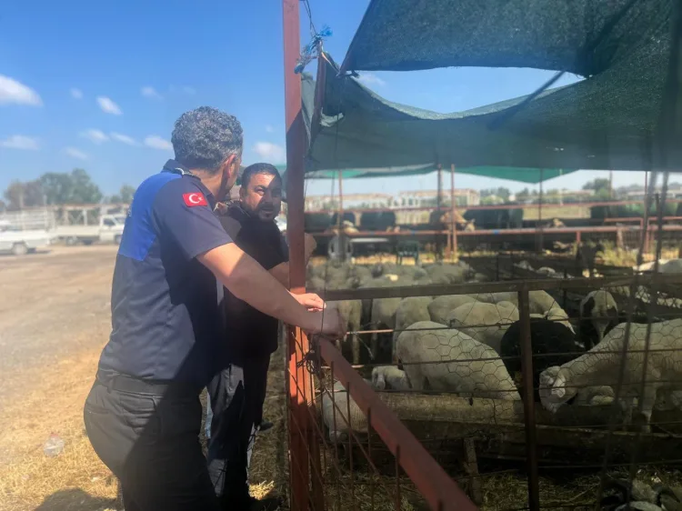 İzmir’de Kurban Denetimleri Arife Gününde Devam Ediyor