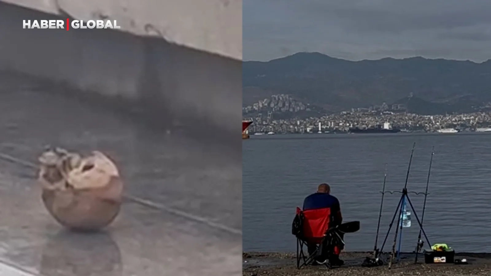 İzmir’de Oltaya Takılan Kafatası Şok Etti!