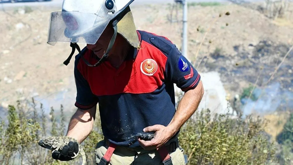 İzmir’de Orman Yangını: Ekipler Seferber Oldu!